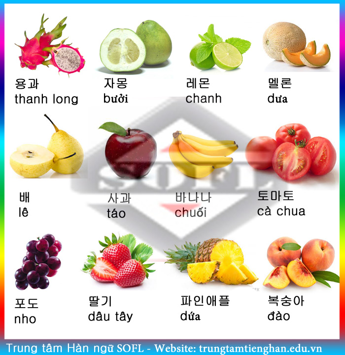 Các loại hoa quả trong tiếng Hàn
