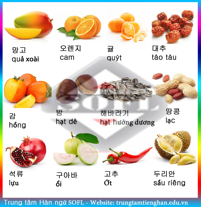 Học tiếng Hàn về các loại trái cây 