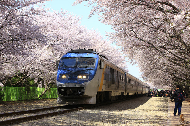 Xe lửa Hàn Quốc